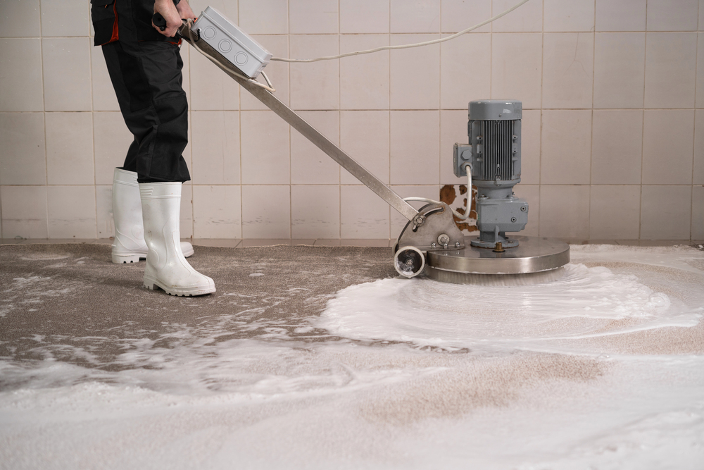 carpet cleaning in Waltham